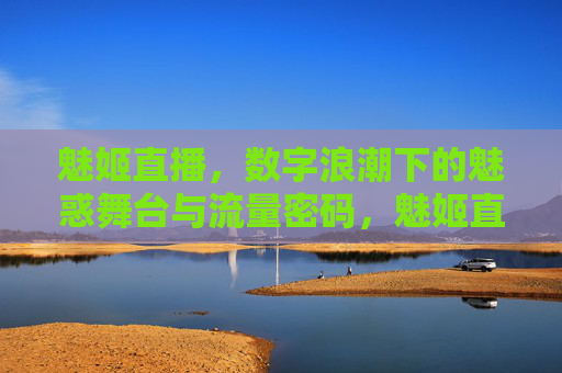 魅姬直播，数字浪潮下的魅惑舞台与流量密码，魅姬直播，数字浪潮下的魅惑舞台与流量密码