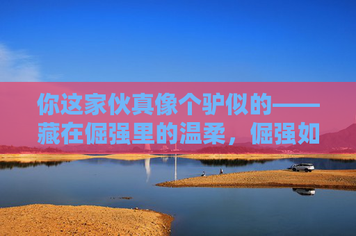 你这家伙真像个驴似的——藏在倔强里的温柔,倔强如驴,温柔藏心 你这家伙真像个驴似的——藏在倔强里的温柔,倔强如驴,温柔藏心