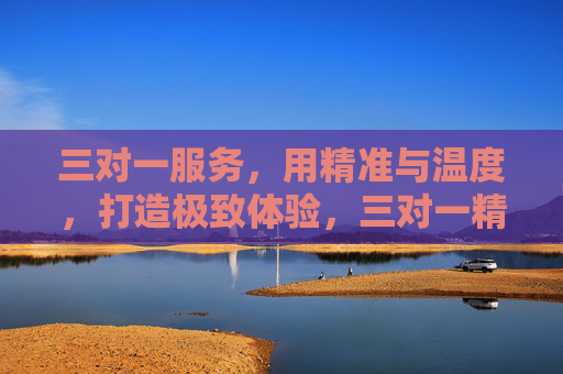 三对一服务，用精准与温度，打造极致体验，三对一精准服务，温度打造极致体验
