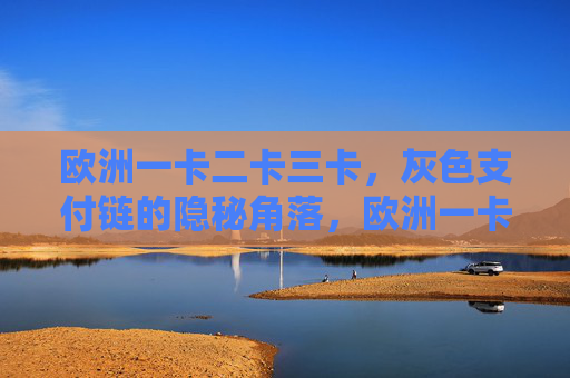 欧洲一卡二卡三卡,灰色支付链的隐秘角落,欧洲一卡二卡三卡,灰色支付链的隐秘角落 欧洲一卡二卡三卡,灰色支付链的隐秘角落,欧洲一卡二卡三卡,灰色支付链的隐秘角落