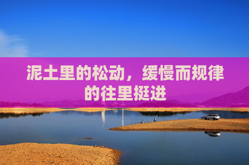 泥土里的松动,缓慢而规律的往里挺进 泥土里的松动,缓慢而规律的往里挺进