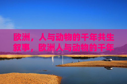 欧洲,人与动物的千年共生叙事,欧洲人与动物的千年共生叙事 欧洲,人与动物的千年共生叙事,欧洲人与动物的千年共生叙事
