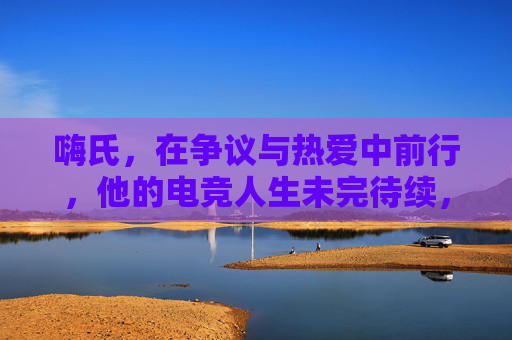 嗨氏,在争议与热爱中前行,他的电竞人生未完待续,嗨氏,争议与热爱的电竞人生,未完待续 嗨氏,在争议与热爱中前行,他的电竞人生未完待续,嗨氏,争议与热爱的电竞人生,未完待续