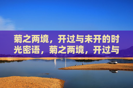 菊之两境,开过与未开的时光密语,菊之两境,开过与未开的时光密语 菊之两境,开过与未开的时光密语,菊之两境,开过与未开的时光密语