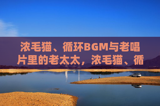 浓毛猫、循环BGM与老唱片里的老太太,浓毛猫、循环BGM与老唱片里的老太太 浓毛猫、循环BGM与老唱片里的老太太,浓毛猫、循环BGM与老唱片里的老太太