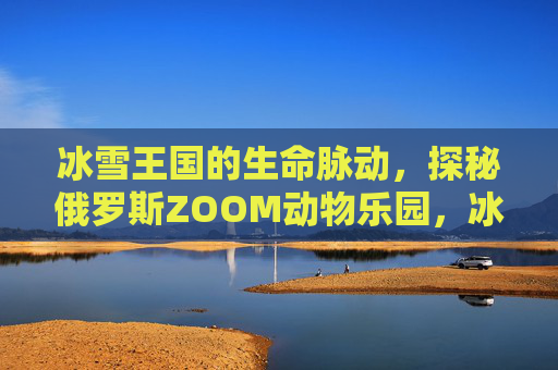 冰雪王国的生命脉动,探秘俄罗斯ZOOM动物乐园,冰雪王国的生命脉动,探秘俄罗斯ZOOM动物乐园 冰雪王国的生命脉动,探秘俄罗斯ZOOM动物乐园,冰雪王国的生命脉动,探秘俄罗斯ZOOM动物乐园