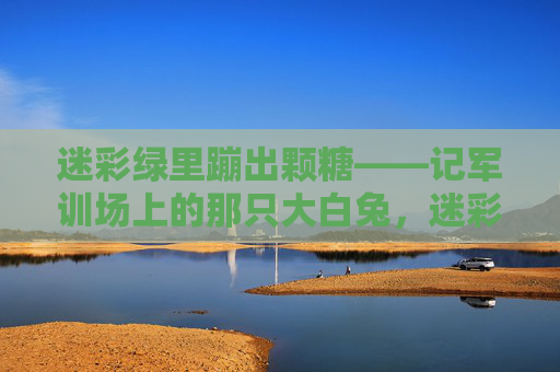 迷彩绿里蹦出颗糖——记军训场上的那只大白兔,迷彩绿里蹦出颗大白兔糖 迷彩绿里蹦出颗糖——记军训场上的那只大白兔,迷彩绿里蹦出颗大白兔糖