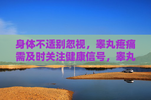 身体不适别忽视,睾丸疼痛需及时关注健康信号,睾丸疼痛别忽视,及时关注健康信号 身体不适别忽视,睾丸疼痛需及时关注健康信号,睾丸疼痛别忽视,及时关注健康信号