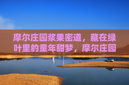 摩尔庄园浆果密道,藏在绿叶里的童年甜梦,摩尔庄园浆果密道,绿叶里的童年甜梦 摩尔庄园浆果密道,藏在绿叶里的童年甜梦,摩尔庄园浆果密道,绿叶里的童年甜梦