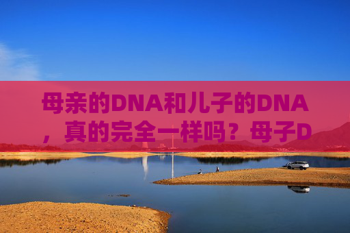 母亲的DNA和儿子的DNA,真的完全一样吗?母子DNA真的完全一样吗? 母亲的DNA和儿子的DNA,真的完全一样吗?母子DNA真的完全一样吗?