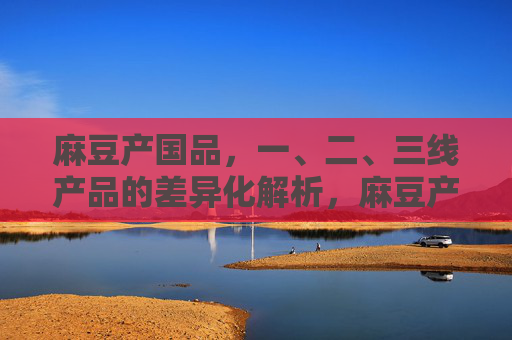麻豆产国品，一、二、三线产品的差异化解析，麻豆产国品，一、二、三线产品差异化解析