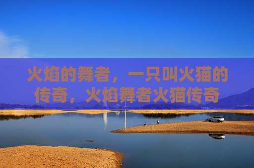 火焰的舞者，一只叫火猫的传奇，火焰舞者火猫传奇