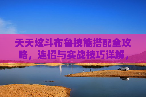 天天炫斗布鲁技能搭配全攻略,连招与实战技巧详解,天天炫斗布鲁技能搭配连招实战全攻略 天天炫斗布鲁技能搭配全攻略,连招与实战技巧详解,天天炫斗布鲁技能搭配连招实战全攻略