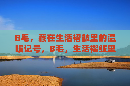 B毛,藏在生活褶皱里的温暖记号,B毛,生活褶皱里的温暖记号 B毛,藏在生活褶皱里的温暖记号,B毛,生活褶皱里的温暖记号