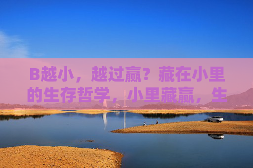 B越小,越过赢?藏在小里的生存哲学,小里藏赢,生存哲学 B越小,越过赢?藏在小里的生存哲学,小里藏赢,生存哲学