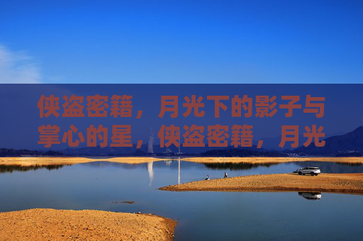 侠盗密籍,月光下的影子与掌心的星,侠盗密籍,月光影与掌心星 侠盗密籍,月光下的影子与掌心的星,侠盗密籍,月光影与掌心星
