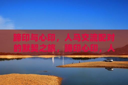 蹄印与心印,人马交流配对的默契之旅,蹄印心印,人马默契之旅 蹄印与心印,人马交流配对的默契之旅,蹄印心印,人马默契之旅