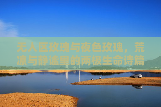 无人区玫瑰与夜色玫瑰，荒凉与静谧里的两极生命诗篇，两极玫瑰，荒凉静谧的生命诗篇