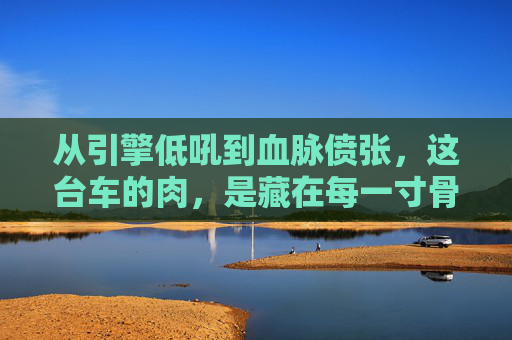 从引擎低吼到血脉偾张,这台车的肉,是藏在每一寸骨子里的狠 从引擎低吼到血脉偾张,这台车的肉,是藏在每一寸骨子里的狠
