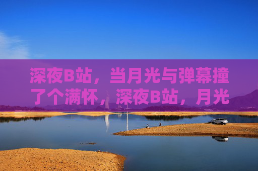 深夜B站,当月光与弹幕撞了个满怀,深夜B站,月光与弹幕撞满怀 深夜B站,当月光与弹幕撞了个满怀,深夜B站,月光与弹幕撞满怀