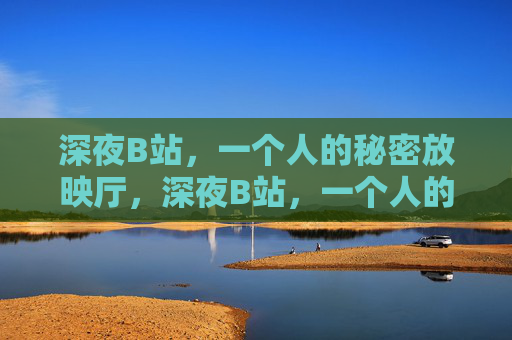深夜B站，一个人的秘密放映厅，深夜B站，一个人的秘密放映厅