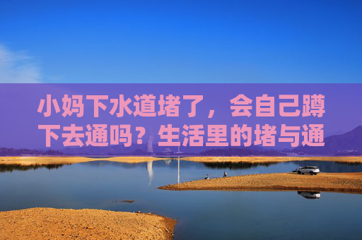 小妈下水道堵了，会自己蹲下去通吗？生活里的堵与通，藏着家的温度，堵住的下水道，通向家的温度