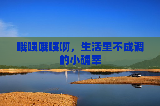 哦咦哦咦啊，生活里不成调的小确幸