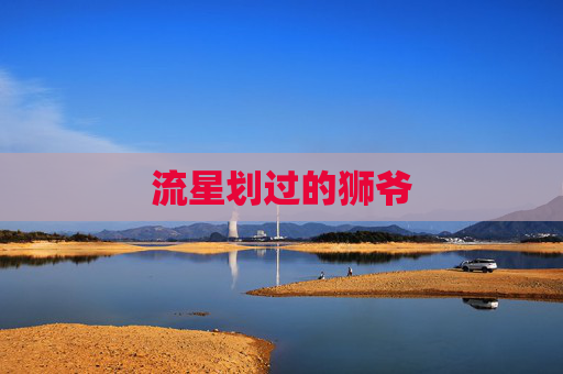 流星划过的狮爷 流星划过的狮爷