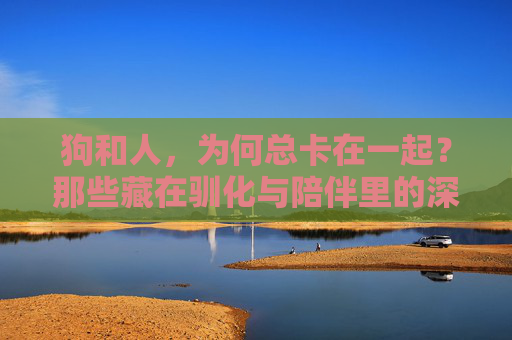 狗和人，为何总卡在一起？那些藏在驯化与陪伴里的深层答案，驯化与陪伴，狗人奇妙的深层羁绊