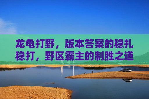 龙龟打野,版本答案的稳扎稳打,野区霸主的制胜之道,龙龟打野,版本稳扎稳打的野区霸主制胜之道 龙龟打野,版本答案的稳扎稳打,野区霸主的制胜之道,龙龟打野,版本稳扎稳打的野区霸主制胜之道