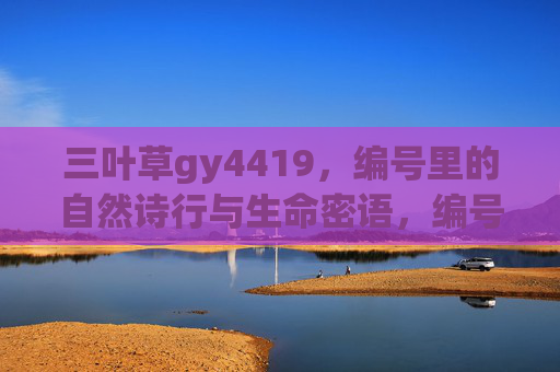 三叶草gy4419，编号里的自然诗行与生命密语，编号里的自然诗行与生命密语
