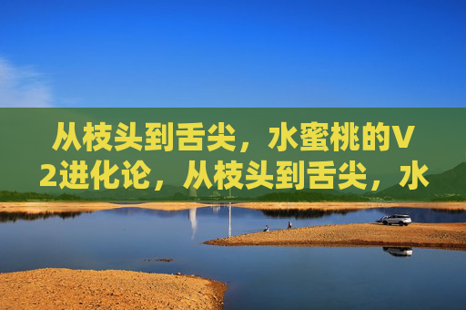 从枝头到舌尖,水蜜桃的V2进化论,从枝头到舌尖,水蜜桃的V2进化论 从枝头到舌尖,水蜜桃的V2进化论,从枝头到舌尖,水蜜桃的V2进化论
