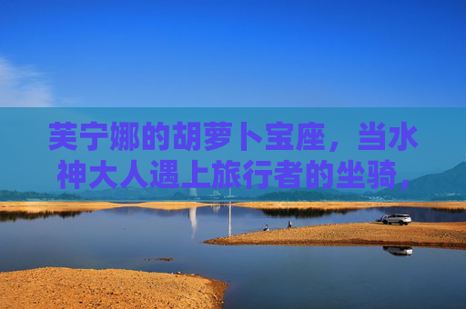 芙宁娜的胡萝卜宝座,当水神大人遇上旅行者的坐骑,芙宁娜的胡萝卜宝座,水神与旅行者坐骑的相遇 芙宁娜的胡萝卜宝座,当水神大人遇上旅行者的坐骑,芙宁娜的胡萝卜宝座,水神与旅行者坐骑的相遇