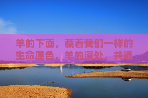 羊的下面,藏着我们一样的生命底色,羊的深处,共通的生命底色 羊的下面,藏着我们一样的生命底色,羊的深处,共通的生命底色