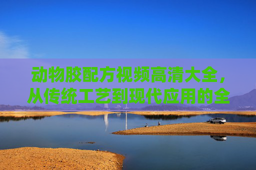 动物胶配方视频高清大全,从传统工艺到现代应用的全面解析,动物胶配方视频高清大全,从传统工艺到现代应用的全面解析 动物胶配方视频高清大全,从传统工艺到现代应用的全面解析,动物胶配方视频高清大全,从传统工艺到现代应用的全面解析