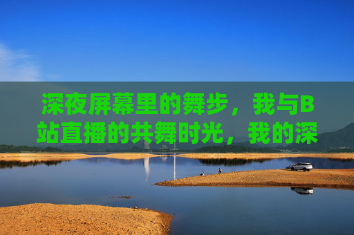 深夜屏幕里的舞步,我与B站直播的共舞时光,我的深夜B站共舞时光 深夜屏幕里的舞步,我与B站直播的共舞时光,我的深夜B站共舞时光