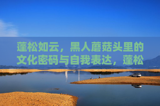 蓬松如云,黑人蘑菇头里的文化密码与自我表达,蓬松蘑菇头,文化密码与自我表达 蓬松如云,黑人蘑菇头里的文化密码与自我表达,蓬松蘑菇头,文化密码与自我表达