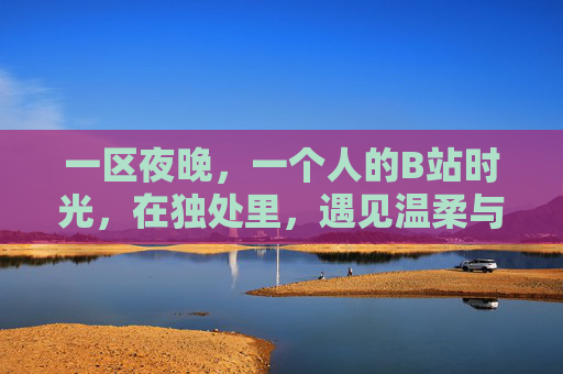 一区夜晚,一个人的B站时光,在独处里,遇见温柔与共鸣,夜晚独处,B站里的温柔共鸣 一区夜晚,一个人的B站时光,在独处里,遇见温柔与共鸣,夜晚独处,B站里的温柔共鸣