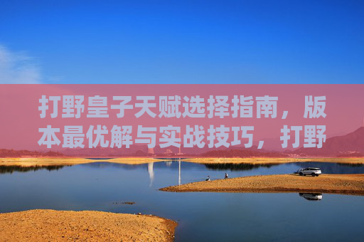 打野皇子天赋选择指南,版本最优解与实战技巧,打野皇子天赋选择指南,版本最优解与实战技巧 打野皇子天赋选择指南,版本最优解与实战技巧,打野皇子天赋选择指南,版本最优解与实战技巧