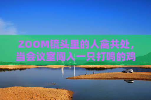 ZOOM镜头里的人禽共处,当会议室闯入一只打鸣的鸡,ZOOM会议室闯入打鸣鸡,上演人禽共处 ZOOM镜头里的人禽共处,当会议室闯入一只打鸣的鸡,ZOOM会议室闯入打鸣鸡,上演人禽共处