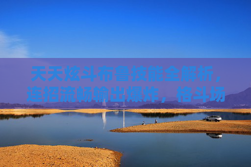 天天炫斗布鲁技能全解析，连招流畅输出爆炸，格斗场制胜秘籍，天天炫斗布鲁技能全解析，连招流畅输出爆炸，格斗场制胜秘籍