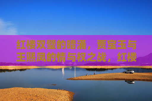 红楼双璧的暗涌,贾宝玉与王熙凤的情与权之战,红楼双璧,情权暗涌之战 红楼双璧的暗涌,贾宝玉与王熙凤的情与权之战,红楼双璧,情权暗涌之战
