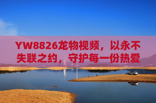 YW8826龙物视频，以永不失联之约，守护每一份热爱与陪伴，YW8826龙物视频，永不失联之约，守护热爱与陪伴