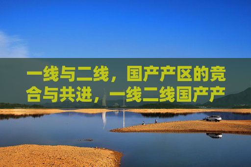 一线与二线,国产产区的竞合与共进,一线二线国产产区,竞合共进 一线与二线,国产产区的竞合与共进,一线二线国产产区,竞合共进