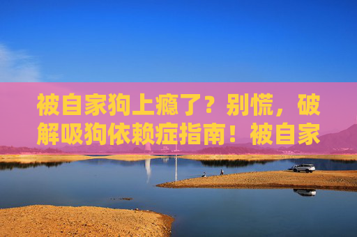 被自家狗上瘾了?别慌,破解吸狗依赖症指南!被自家狗上瘾了?别慌,破解吸狗依赖症指南! 被自家狗上瘾了?别慌,破解吸狗依赖症指南!被自家狗上瘾了?别慌,破解吸狗依赖症指南!
