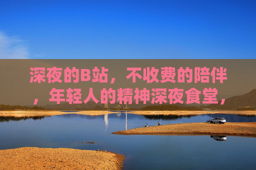 深夜的B站,不收费的陪伴,年轻人的精神深夜食堂,B站,年轻人的精神深夜食堂,不收费的陪伴 深夜的B站,不收费的陪伴,年轻人的精神深夜食堂,B站,年轻人的精神深夜食堂,不收费的陪伴