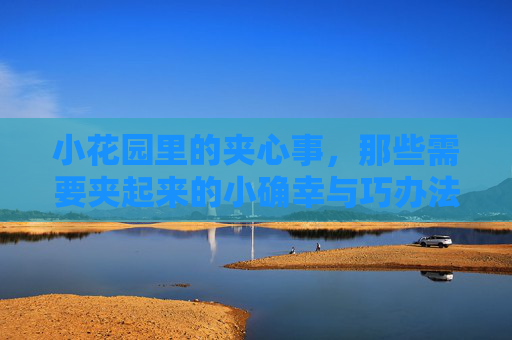 小花园里的夹心事，那些需要夹起来的小确幸与巧办法，小花园里的夹心小确幸与巧办法