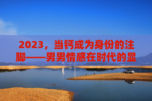 2023,当钙成为身份的注脚——男男情感在时代的显影,2023,钙身份与男男情感的时代显影 2023,当钙成为身份的注脚——男男情感在时代的显影,2023,钙身份与男男情感的时代显影