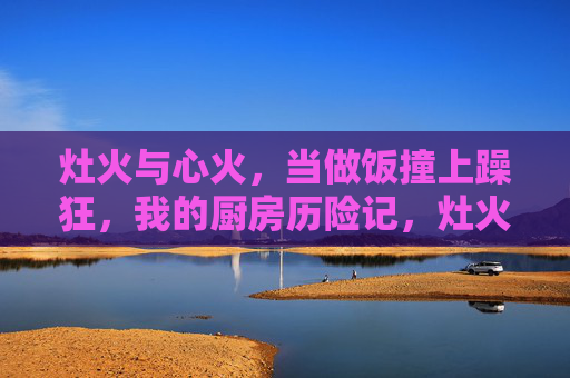 灶火与心火,当做饭撞上躁狂,我的厨房历险记,灶火燃心火,躁狂厨房历险记 灶火与心火,当做饭撞上躁狂,我的厨房历险记,灶火燃心火,躁狂厨房历险记