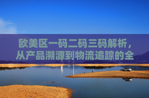欧美区一码二码三码解析，从产品溯源到物流追踪的全链路标识体系，欧美区一码二码三码全链路标识体系，从产品溯源到物流追踪解析